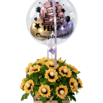 Brillante Cumpleaños