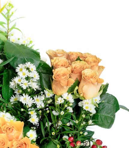 Aromas - Image 4