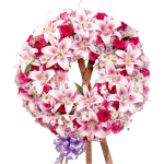 Corona Funebre Rosa