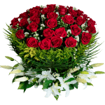 Destello de Amor