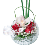 Susurro de Orquídeas
