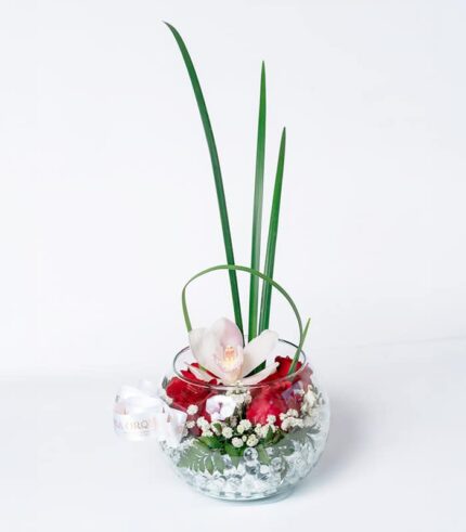 Susurro de Orquídeas - Image 3
