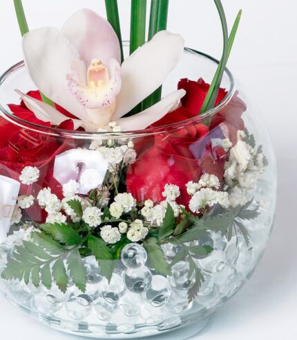 Susurro de Orquídeas - Image 4