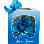 Eres Única Blue
