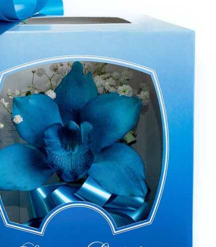 Eres Única Blue - Image 3