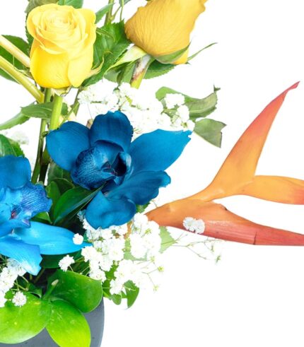 Feliz Cumple Azul - Image 3