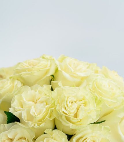 Flo 01 - Image 4