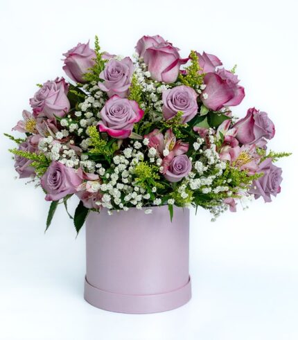 Full Confianza - Image 3