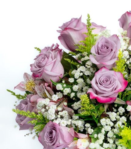 Full Confianza - Image 4