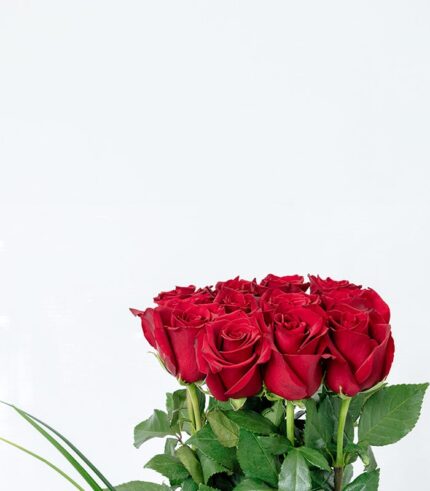 Gran Amor - Image 4