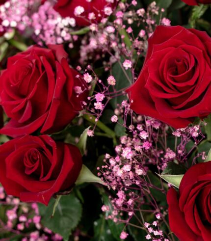 Inmenso Amor - Image 3