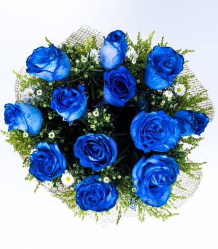 Mini Erupcion De Amor Blue - Image 3
