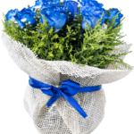 Mini Erupcion De Amor Blue