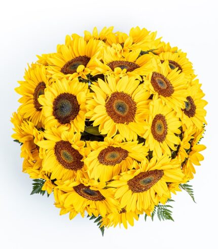 Manojo de Felicidad - Image 4