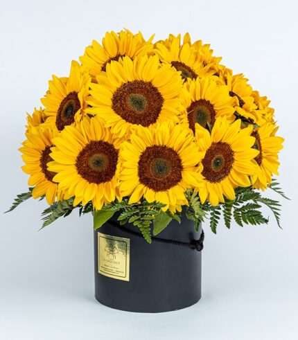 Manojo de Felicidad - Image 3