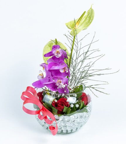 Orqui Love - Image 4