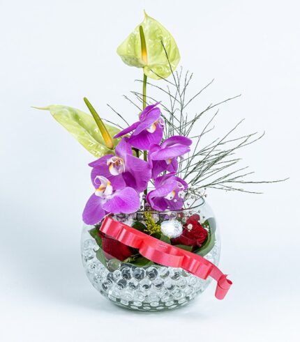 Orqui Love - Image 3