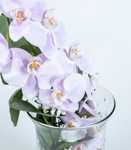 Orquídea Lila Clara - Image 4