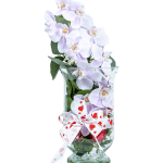 Orquídea Lila Clara