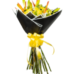 Abanico Floral