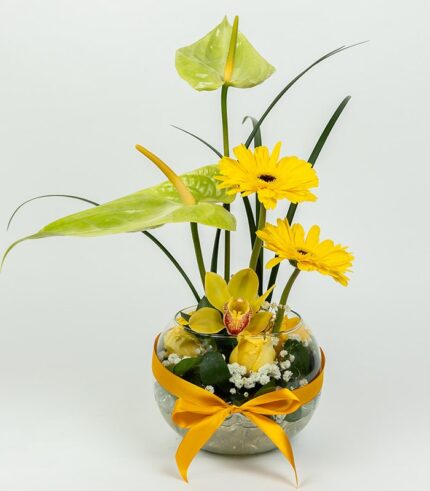 Emily Sun - Image 3