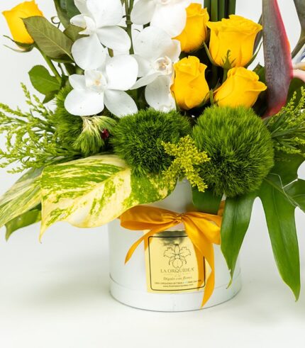 Esencia de Orquídea - Image 4