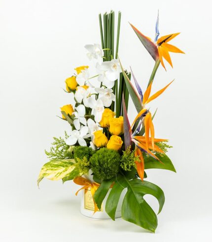 Esencia de Orquídea - Image 3