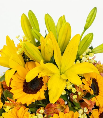 Happy Smile - Image 3