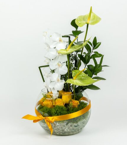 Resplandor de Orquídea - Image 3