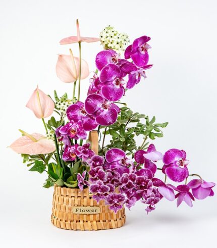 Velero de Orquídeas - Image 4