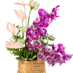 Velero de Orquídeas