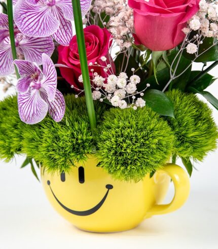 Carita Feliz - Image 3