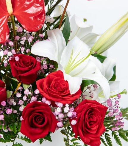 Dulce Amor - Image 4