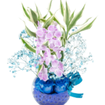 Orqui Azul