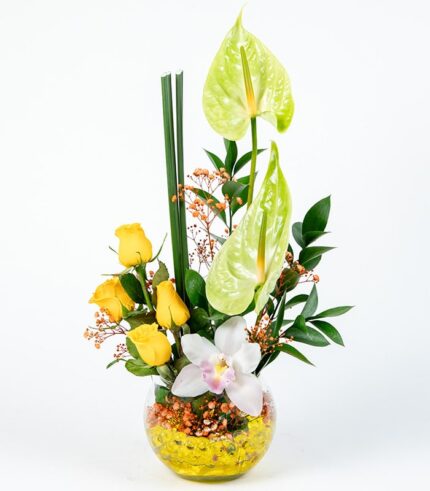 Orquídea de la Suerte - Image 4