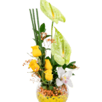 Orquídea de la Suerte