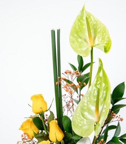 Orquídea de la Suerte - Image 3