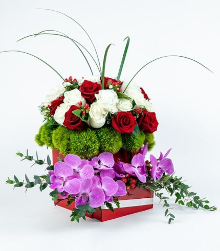 Bombonera de Orquídeas - Image 4