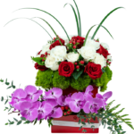 Bombonera de Orquídeas