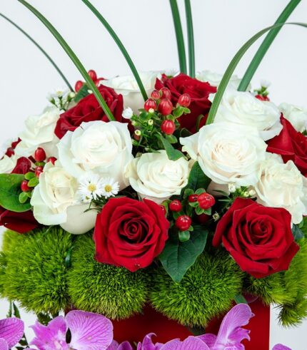 Bombonera de Orquídeas - Image 3