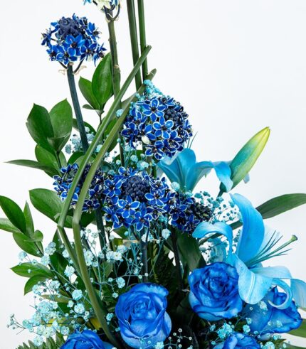 Príncipe Azul - Image 4