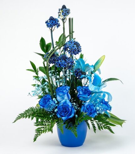Príncipe Azul - Image 3
