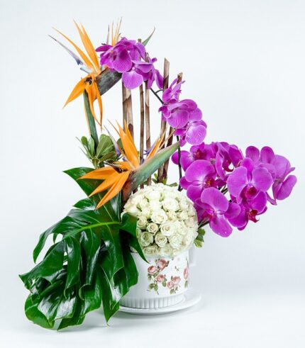 Tazita Con Cariño - Image 4