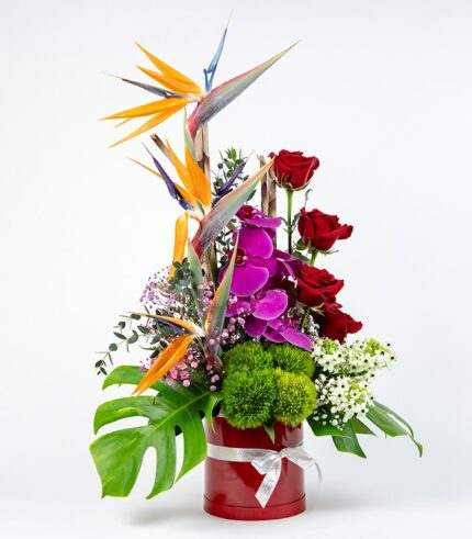 Amor Único - Image 4