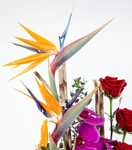 Amor Único - Image 3