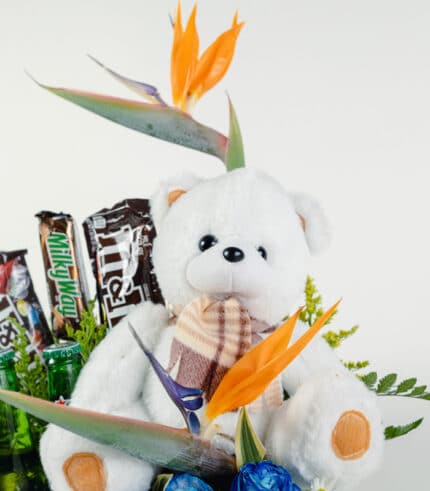 Cofre Bear - Image 3