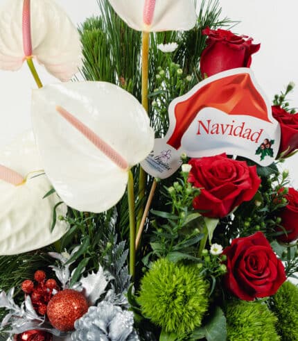 Encanto Navideño - Image 3