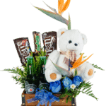 Cofre Bear