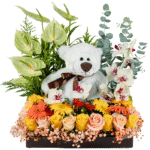 Orquídea Teddy