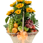 Encanto Frutal